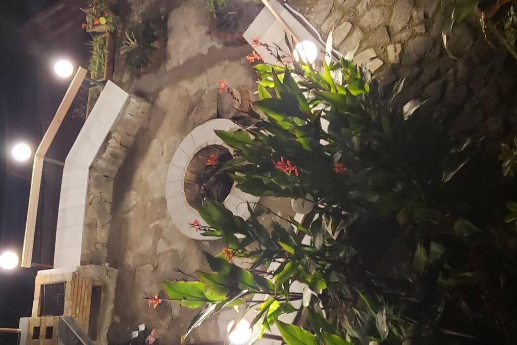 Kasauli Cascade A Cheerfull 4 Bedroom Challet Экстерьер фото