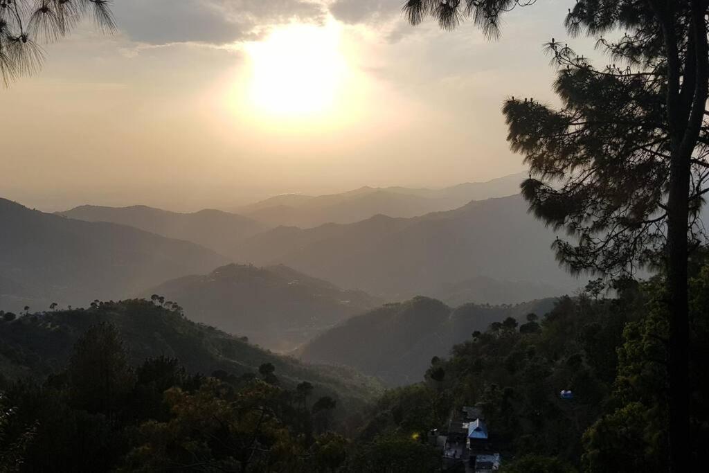 Kasauli Cascade A Cheerfull 4 Bedroom Challet Экстерьер фото