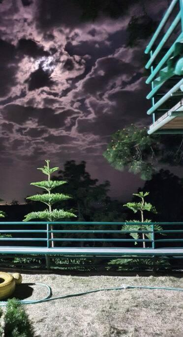 Kasauli Cascade A Cheerfull 4 Bedroom Challet Экстерьер фото
