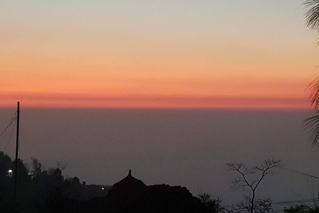 Kasauli Cascade A Cheerfull 4 Bedroom Challet Экстерьер фото
