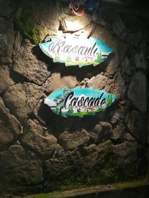 Kasauli Cascade A Cheerfull 4 Bedroom Challet Экстерьер фото