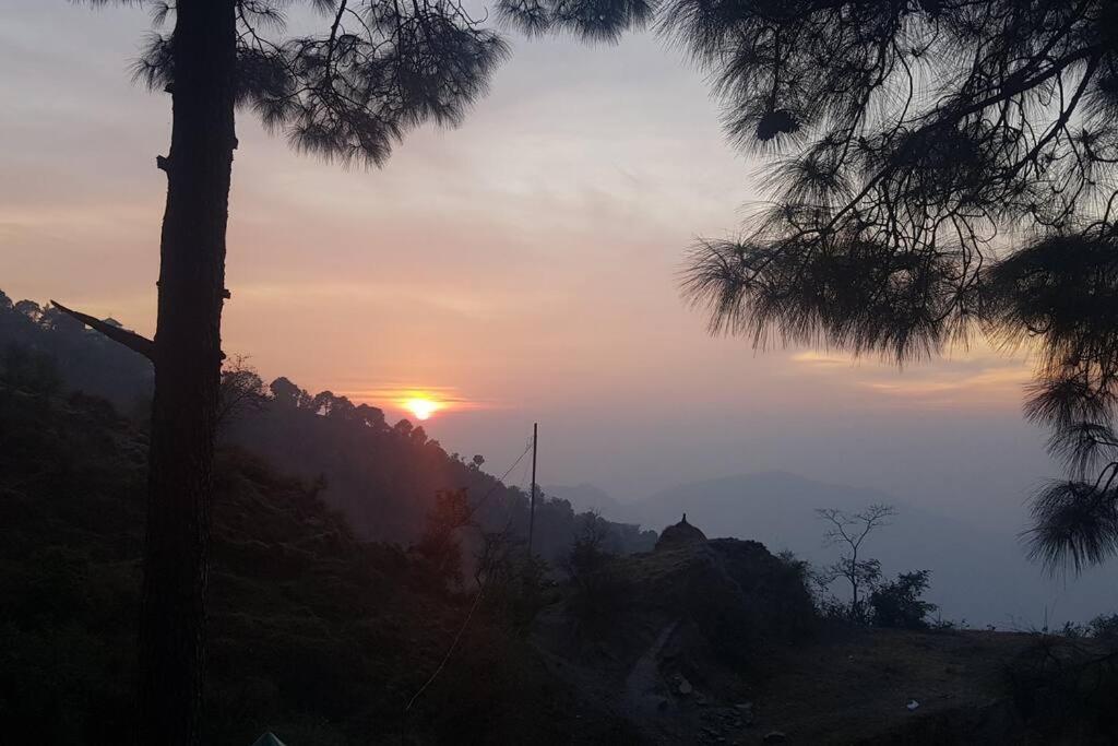Kasauli Cascade A Cheerfull 4 Bedroom Challet Экстерьер фото