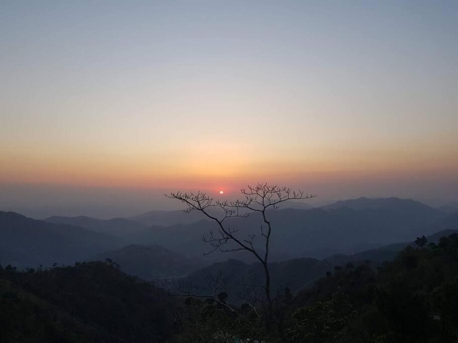 Kasauli Cascade A Cheerfull 4 Bedroom Challet Экстерьер фото