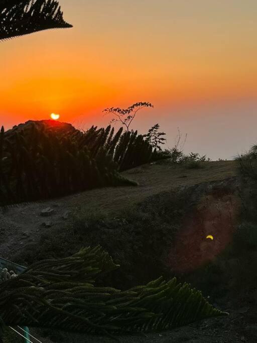 Kasauli Cascade A Cheerfull 4 Bedroom Challet Экстерьер фото